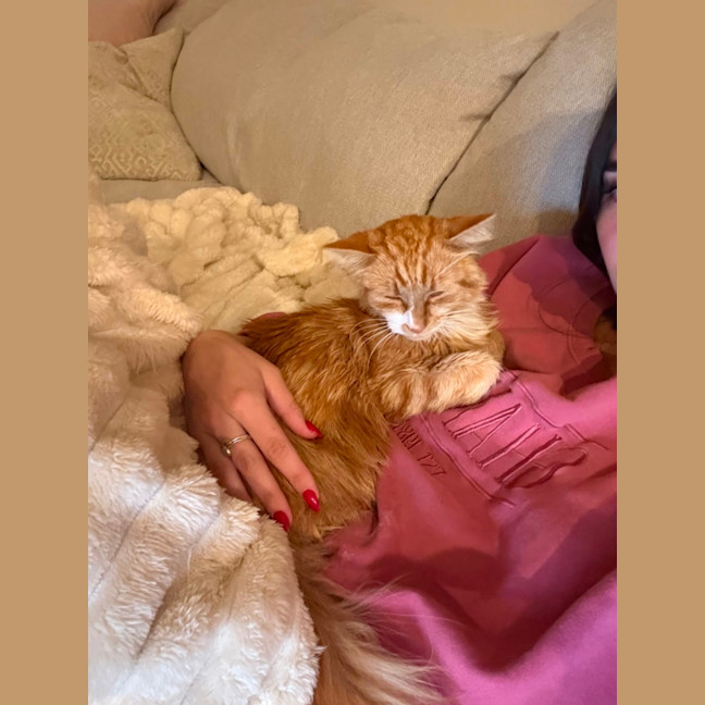 Photo of Sunny   Your Ray Of Sunshine