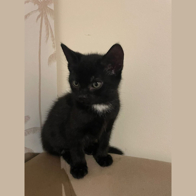 Photo of Johnny Walker