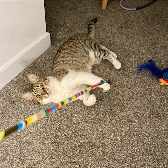 Photo of Cora 