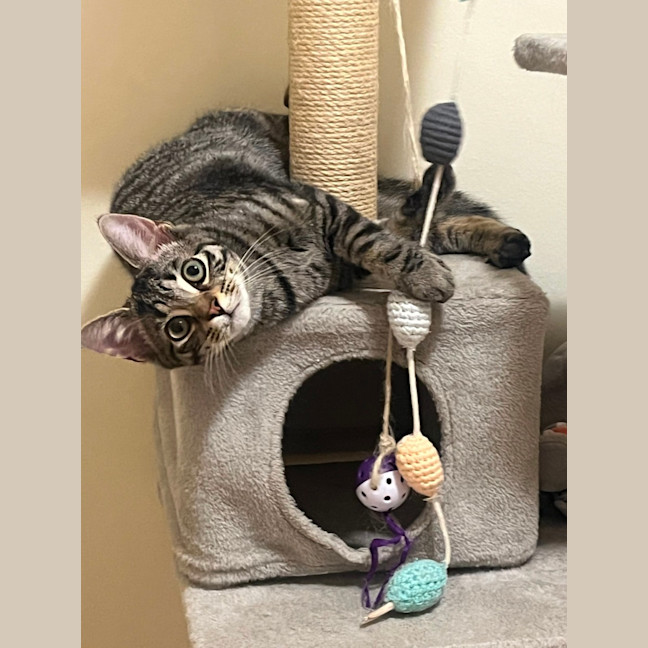 Photo of Frankie