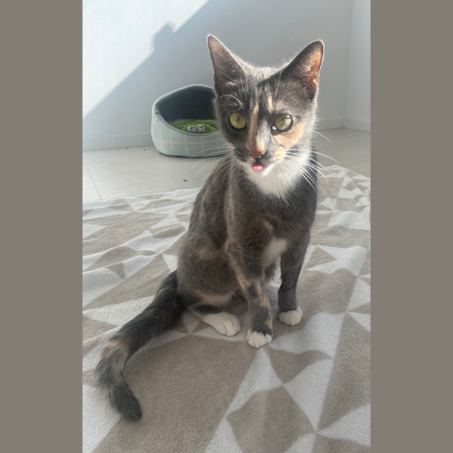 Photo of Macey
