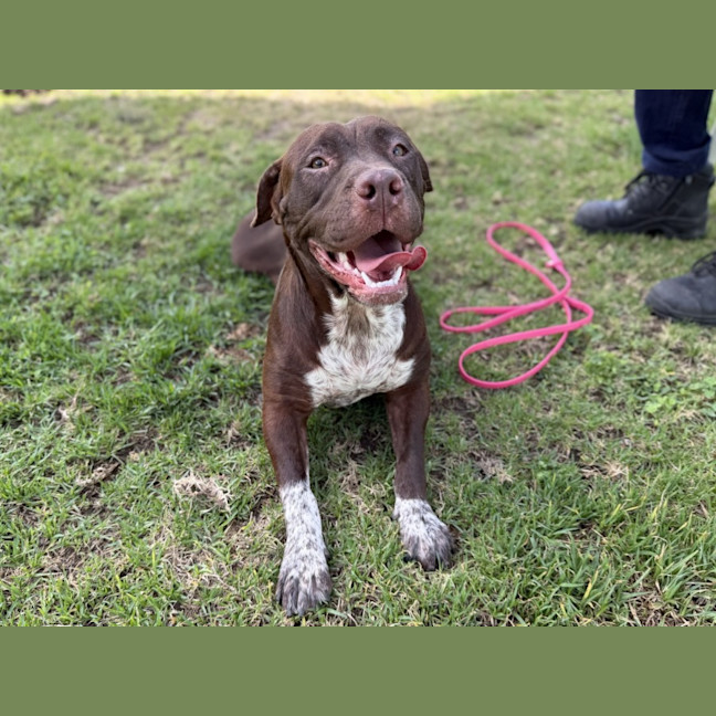 Photo of Sally Imp 3069