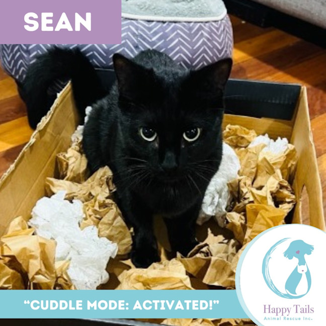 Photo of Sean