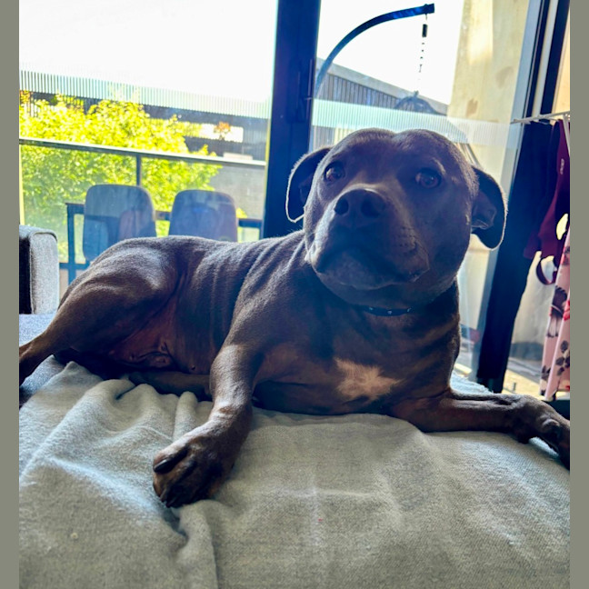 Photo of Freddy