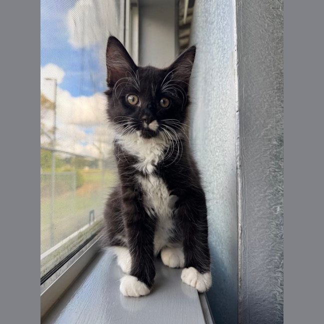 Photo of Lucy