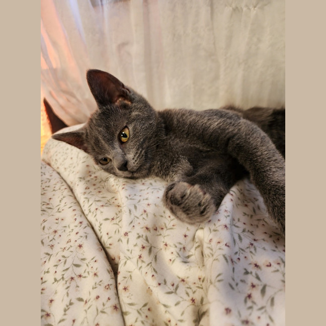 Photo of Rosie