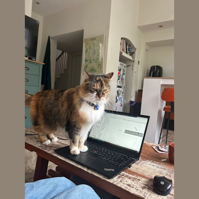 Photo of Buffy