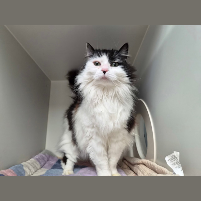 Photo of Sally