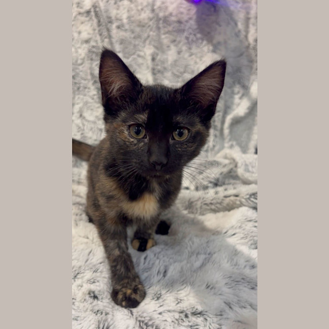 Photo of Wanda