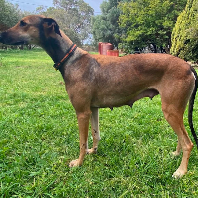Photo of Grace
