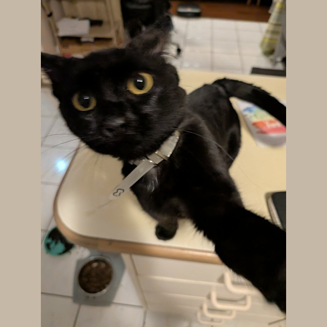 Photo of Tammy