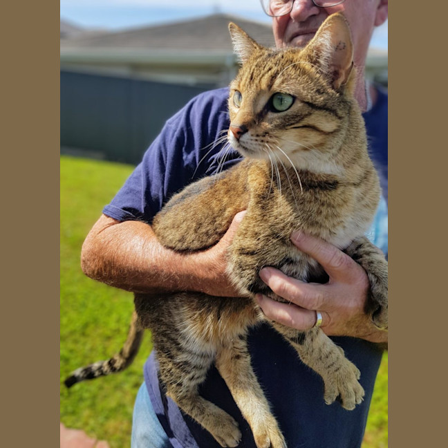 Photo of Regi   Now At Petquarters Rutherford