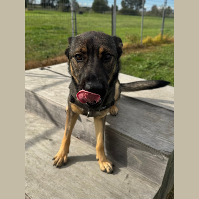 Photo of Cash