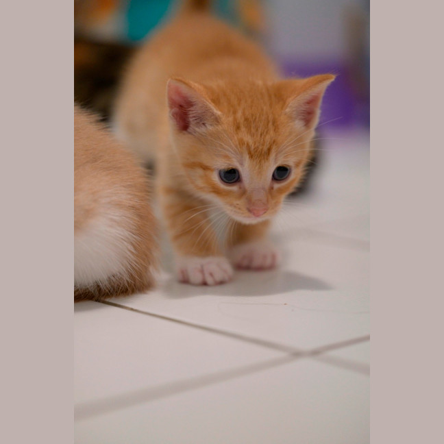 Photo of 🧡 Cinnabon 🤍