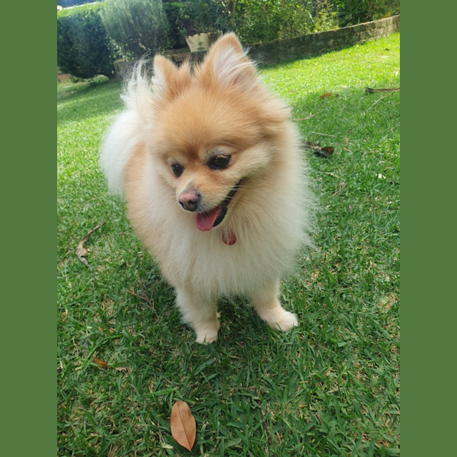 Photo of Grace