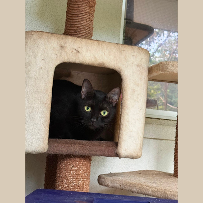 Photo of Tabitha