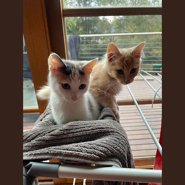 Photo of Trevor 💙