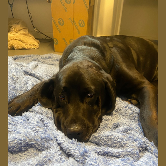 Photo of Storm