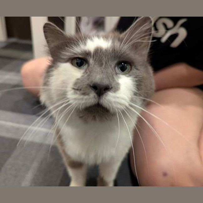 Photo of Gandalf