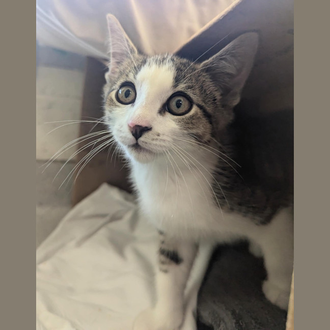 Photo of Neo