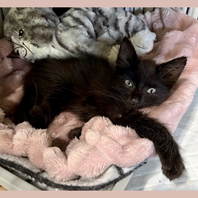 Photo of Sammy
