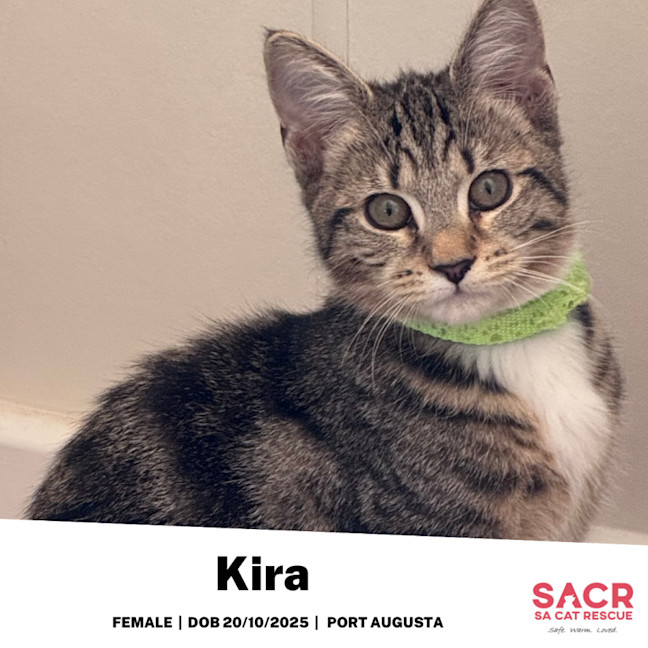 Photo of Kira