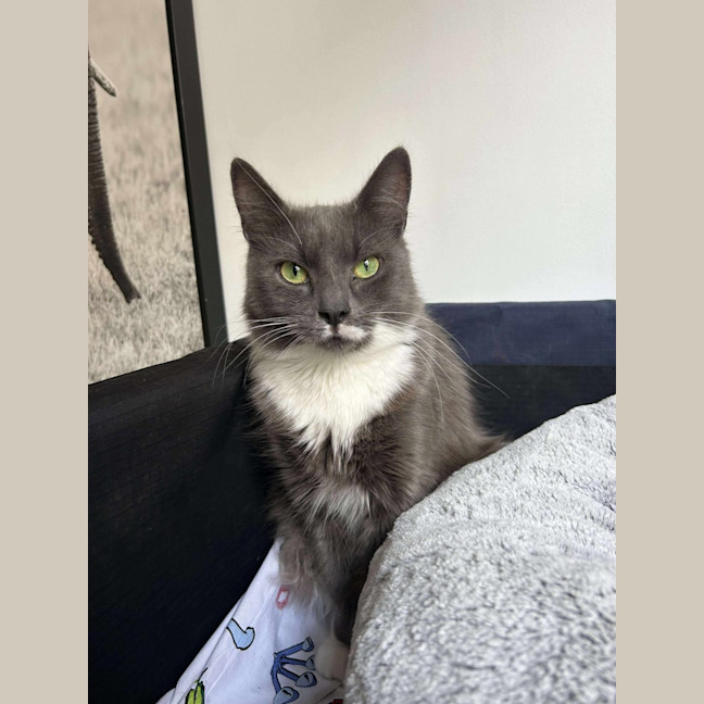 Photo of Evie & Charlotte 