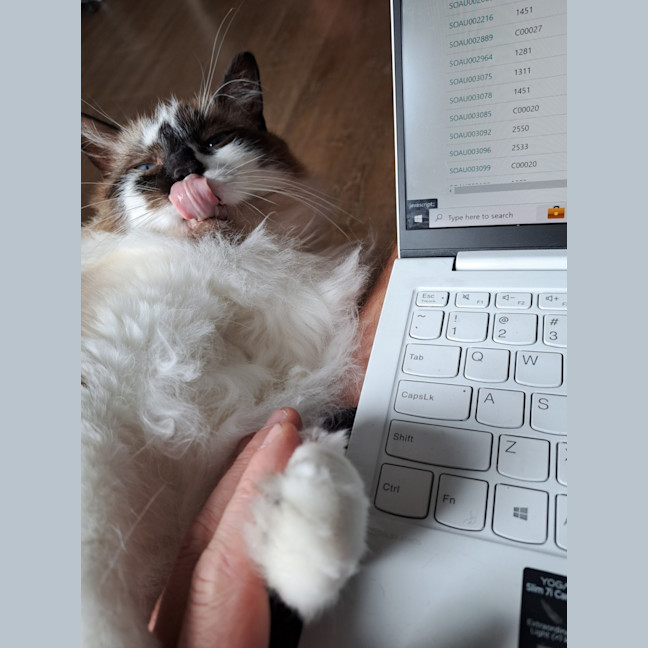 Photo of Smokey