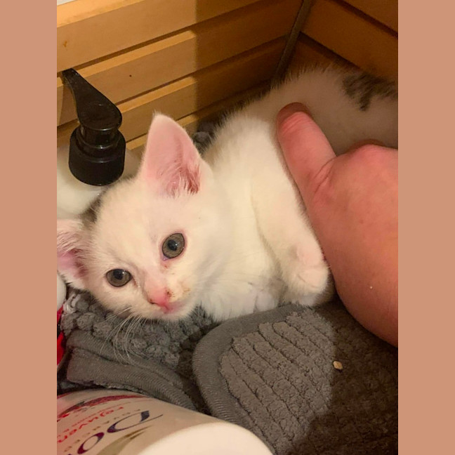 Photo of Brindabella