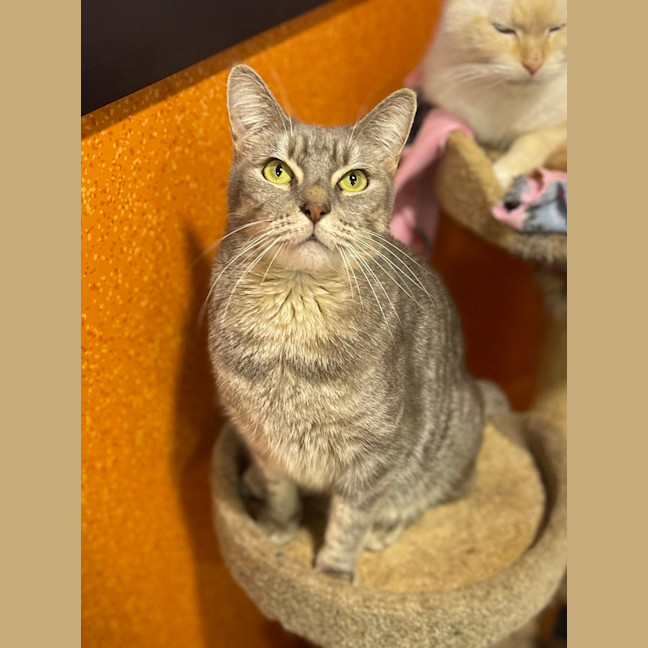 Photo of Leo