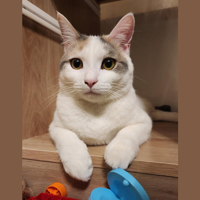 Photo of Bonnie   Located In Avondale Heights