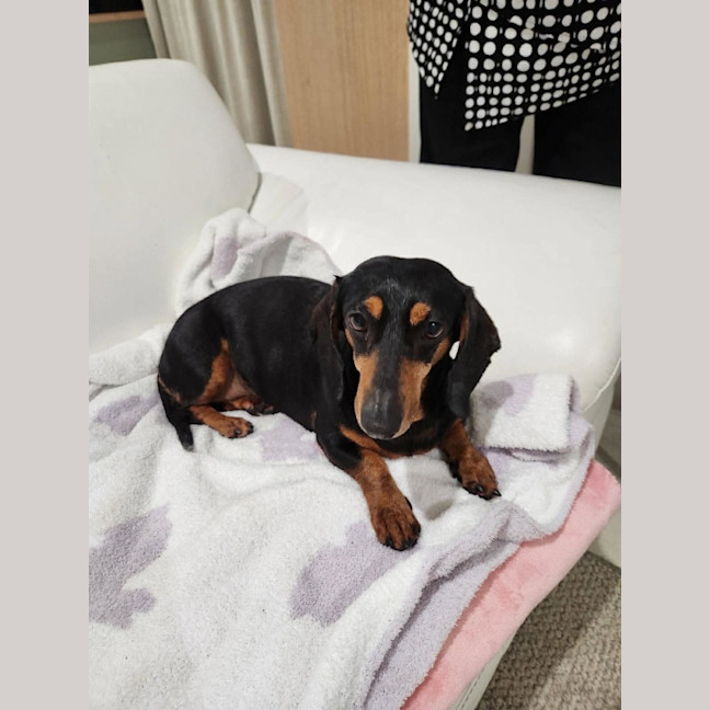 Photo of Tilly