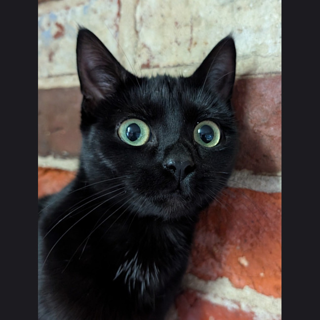 Photo of Gretel