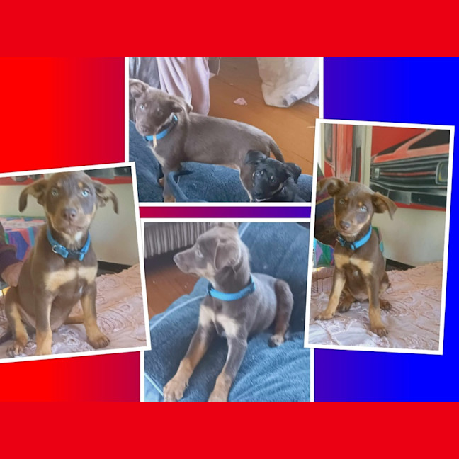 Photo of Humpty Dumpty