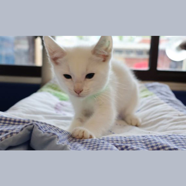 Photo of Zuko