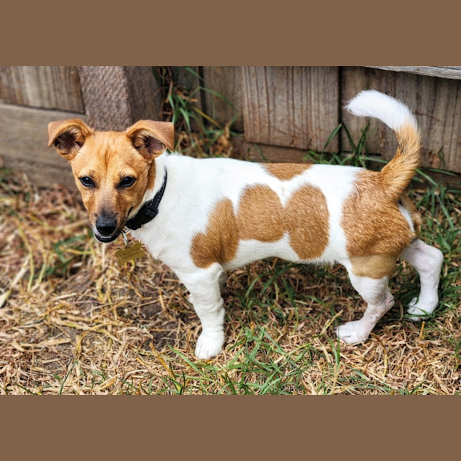 Photo of Ollie Smith