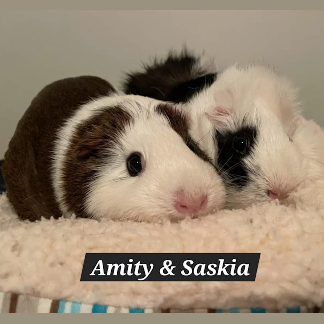 Photo of Amity & Saskia