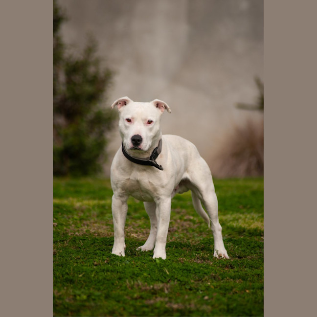 Photo of Max