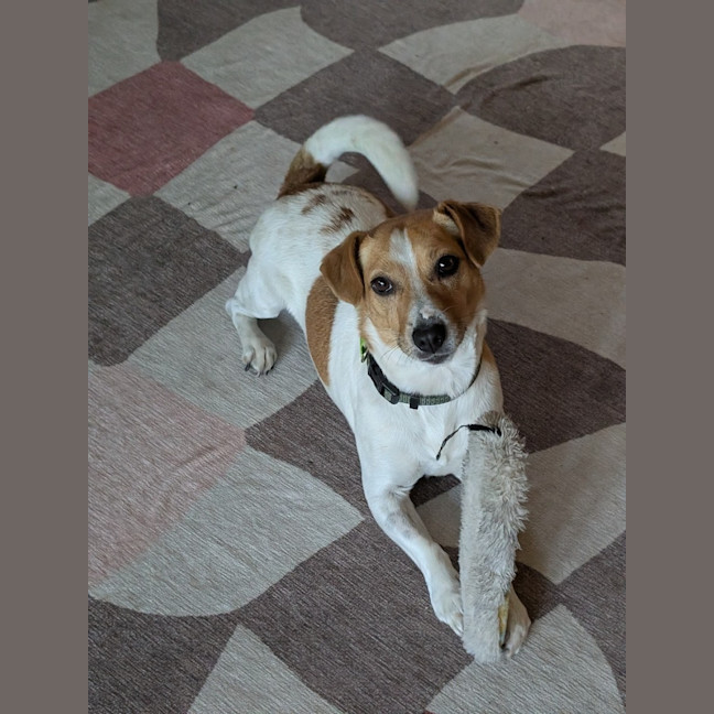 Photo of Chip Douglas