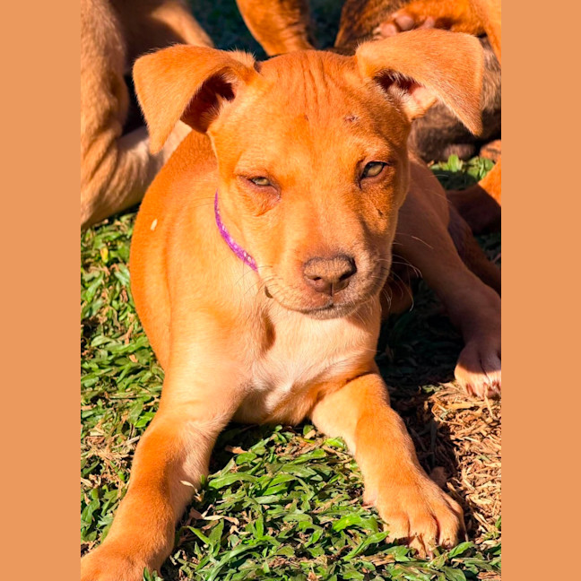 Photo of Doris