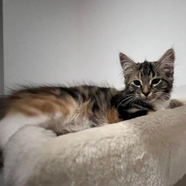 Photo of Buffy