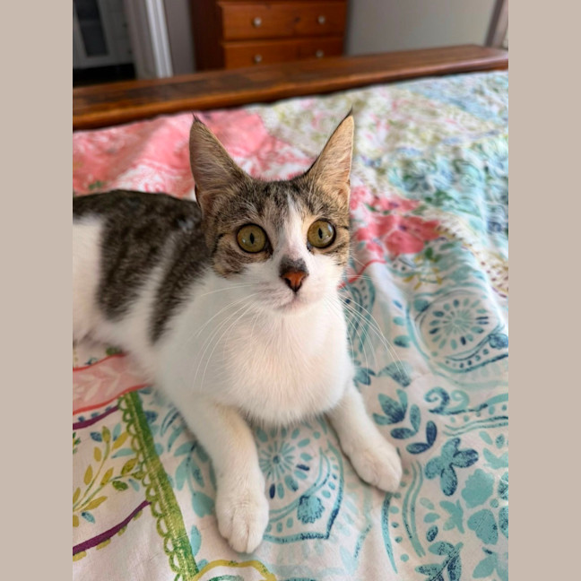 Photo of Abby