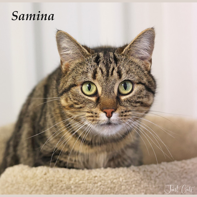 Photo of Samina