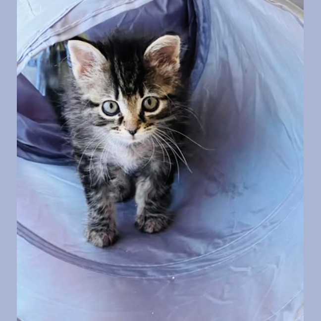 Photo of Taylah