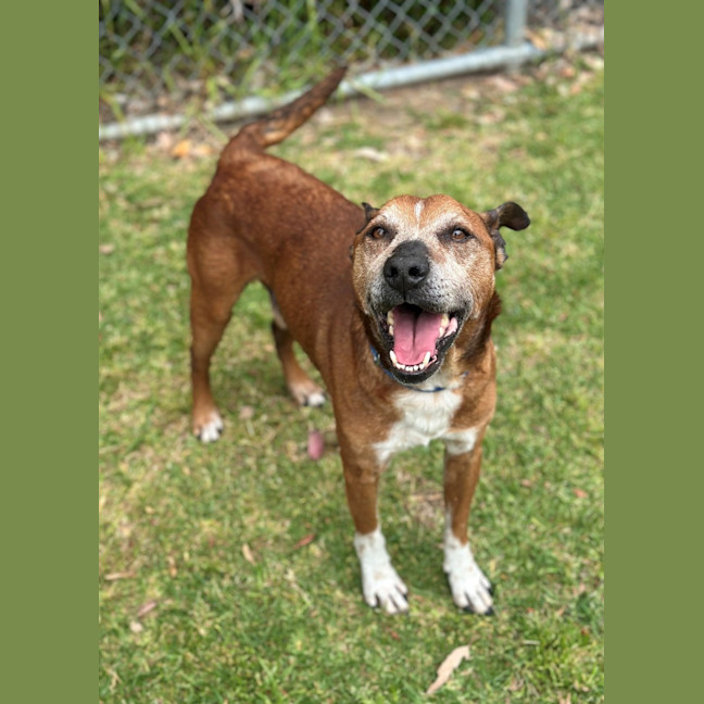 Photo of Tank 