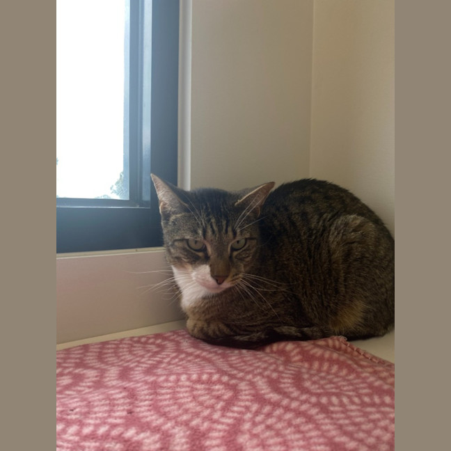 Photo of Jimmy And Buzz