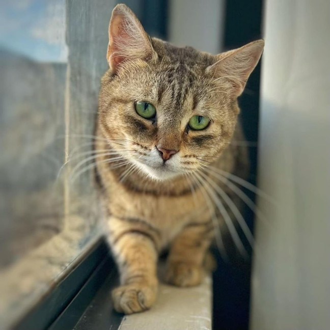 Photo of 6295   Adele