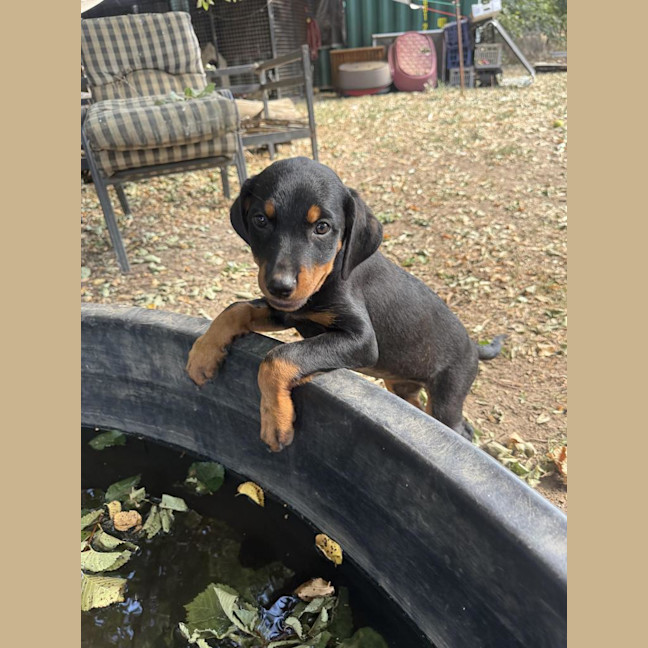 Photo of Frankie Mae