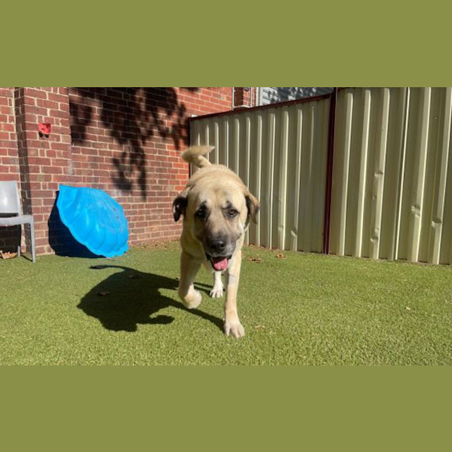 Photo of Big Boy