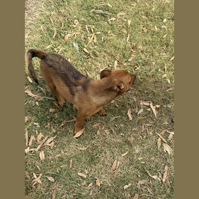 Photo of Jazz (Formerly Aza)